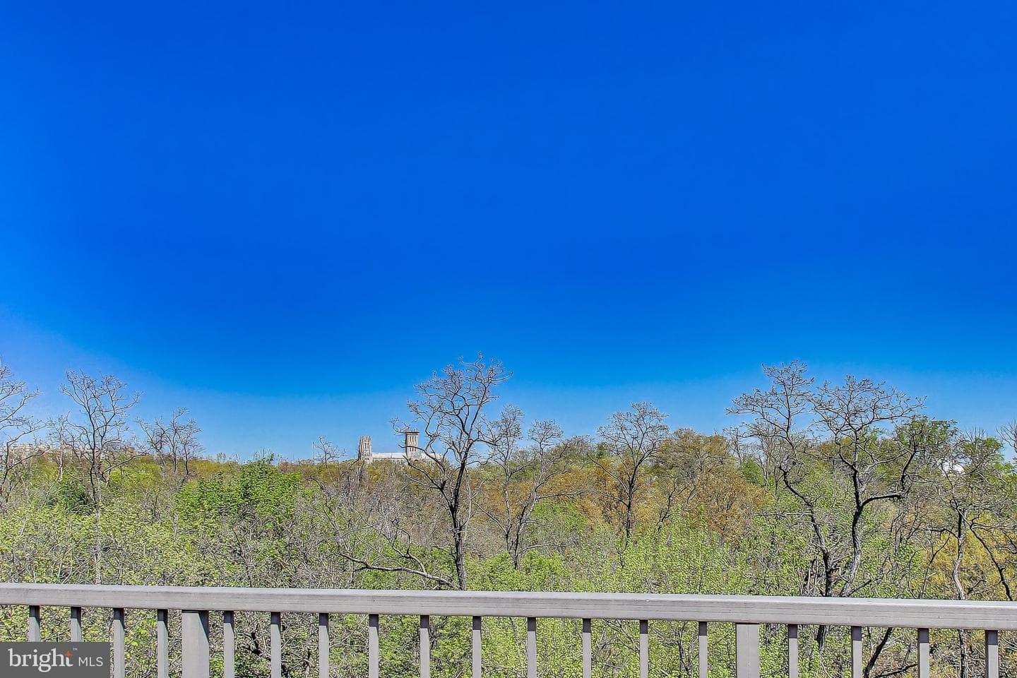 2111 Wisconsin Avenue NW #109 photo 49