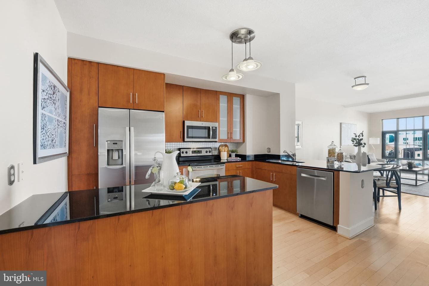 910 M Street NW #516 photo 6