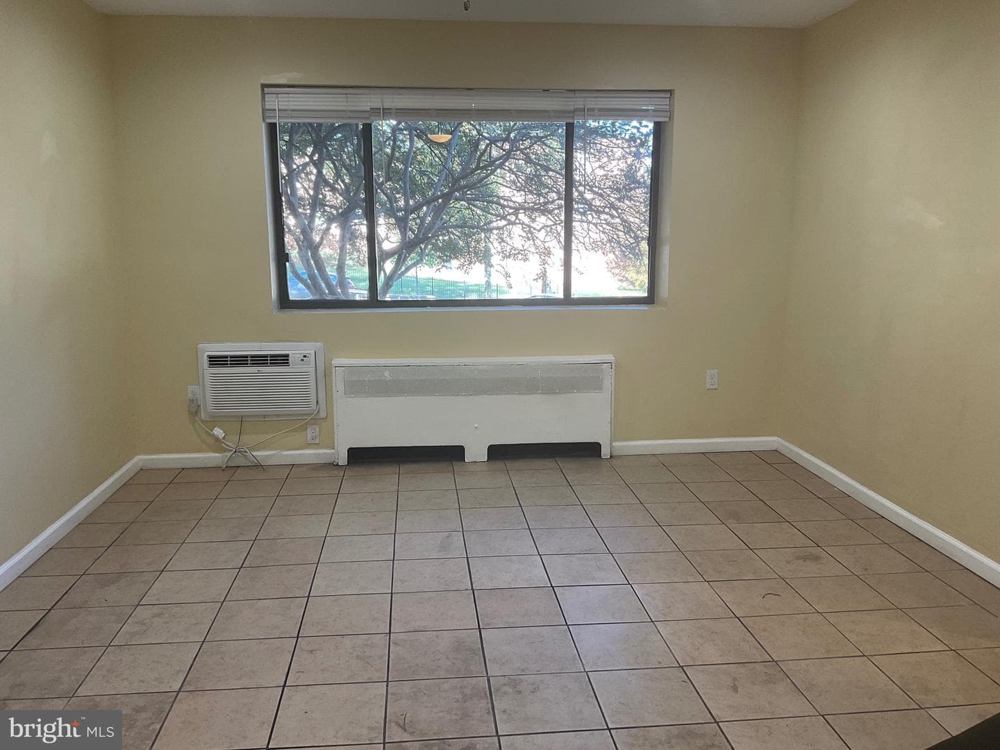 6 Galveston Street SW #103 photo 3
