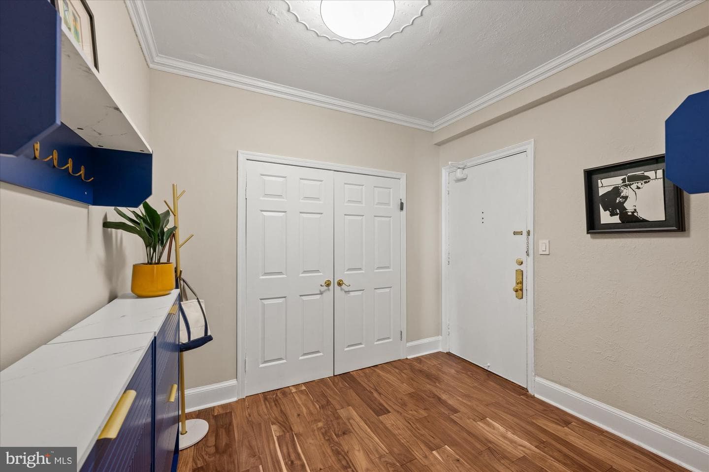 4701 Connecticut Avenue NW #105 photo 2