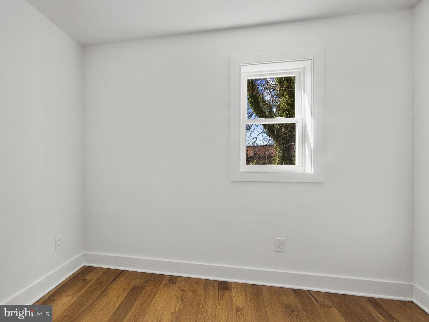 236 Division Avenue NE photo 12