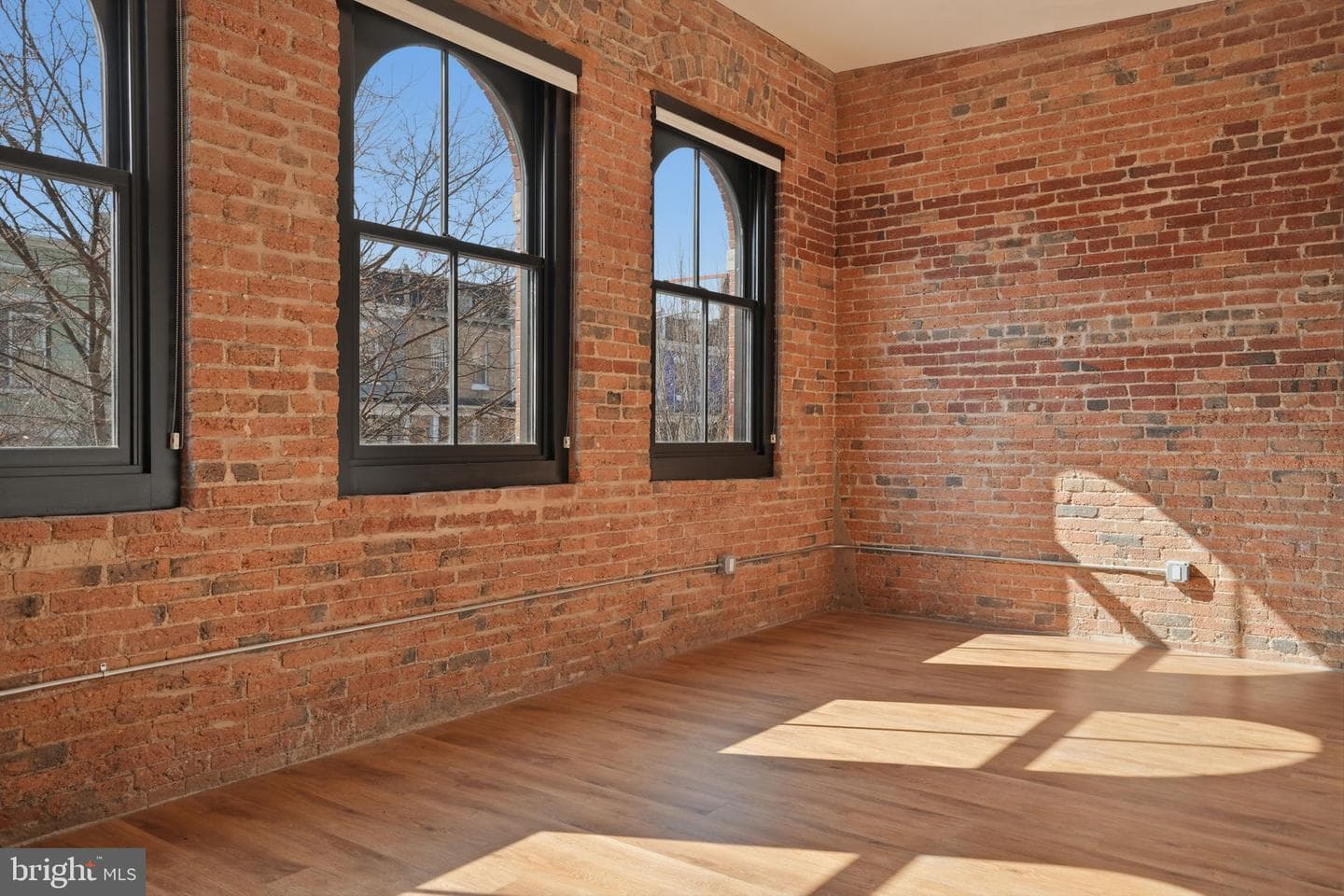 57 N Street NW #301 photo 3