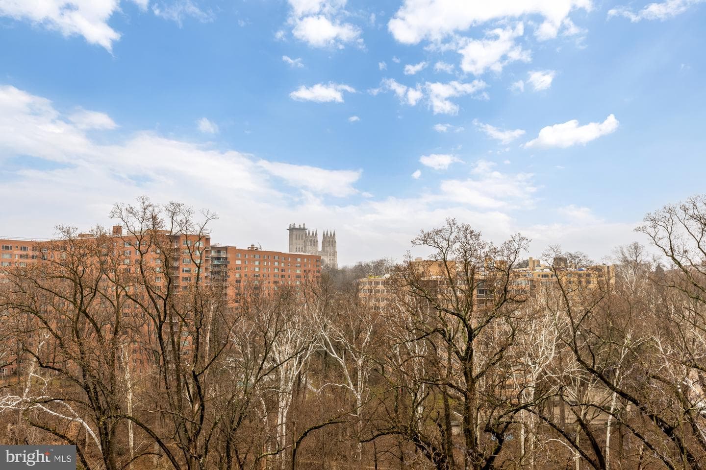 4201 Cathedral Avenue NW #1009e photo 18