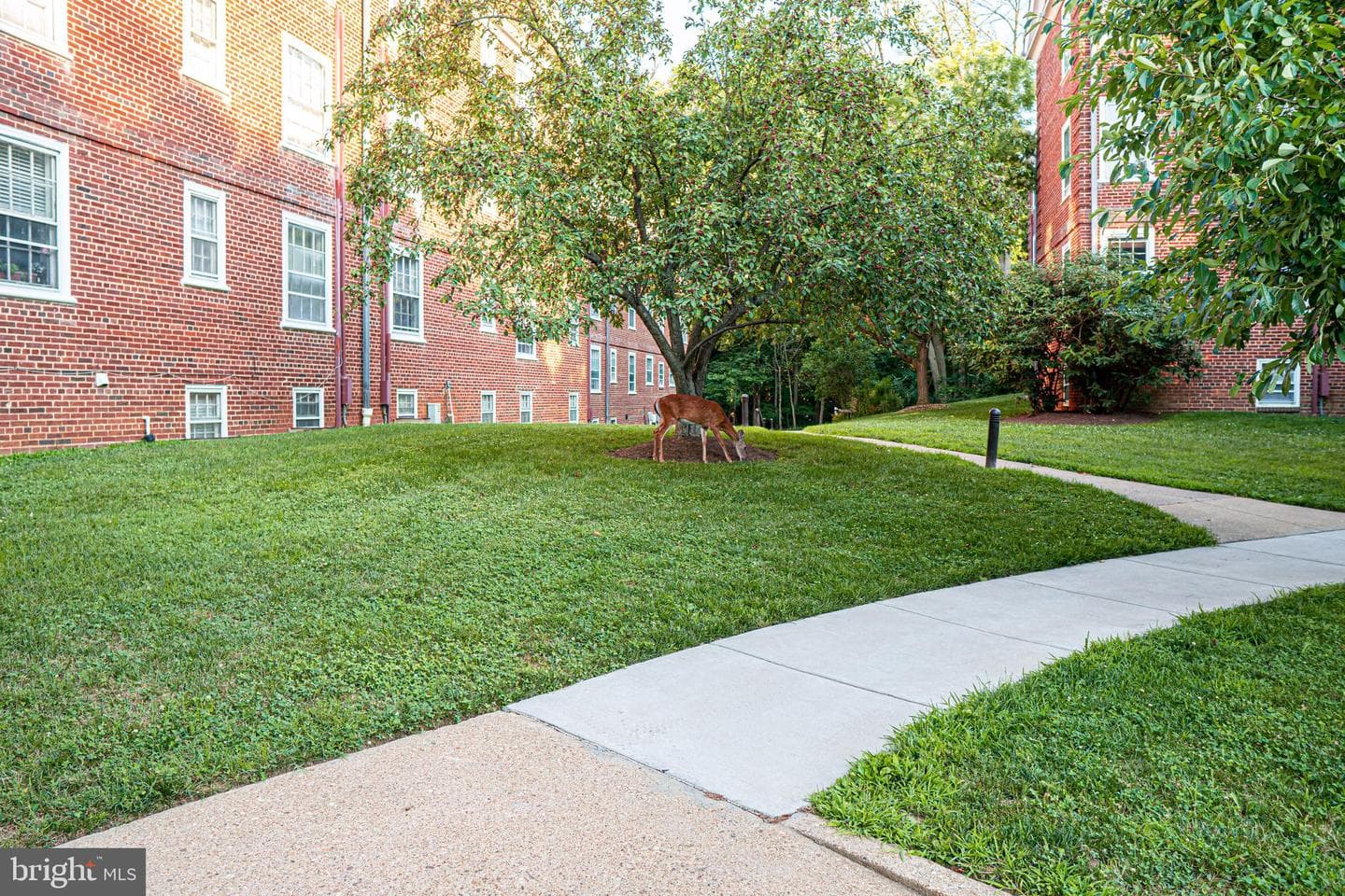 3720 39th Street NW #d166 photo 34
