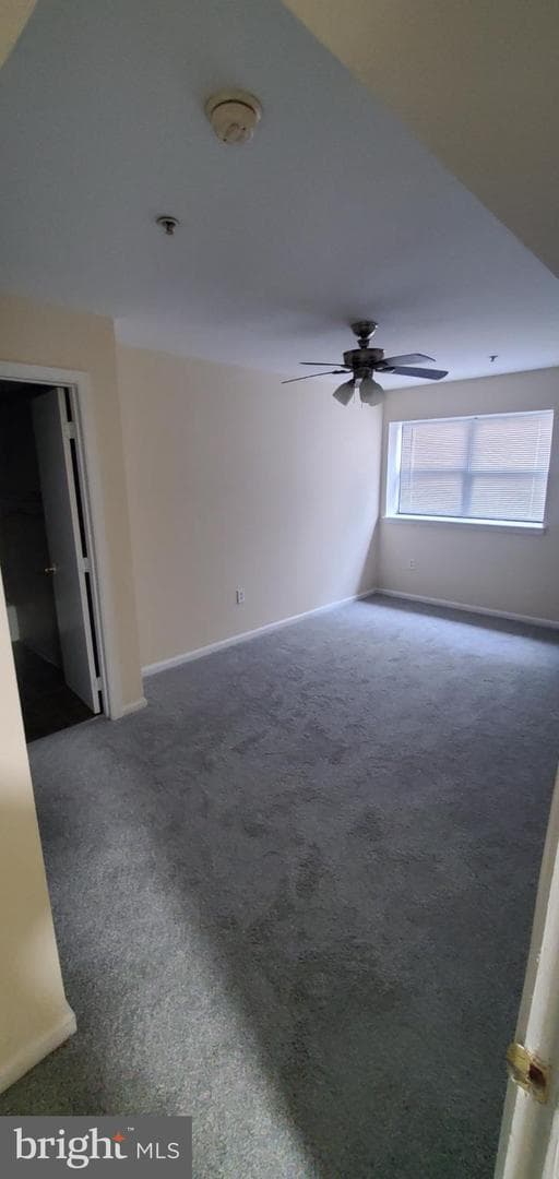 1429 Girard Street NW #205 photo 29