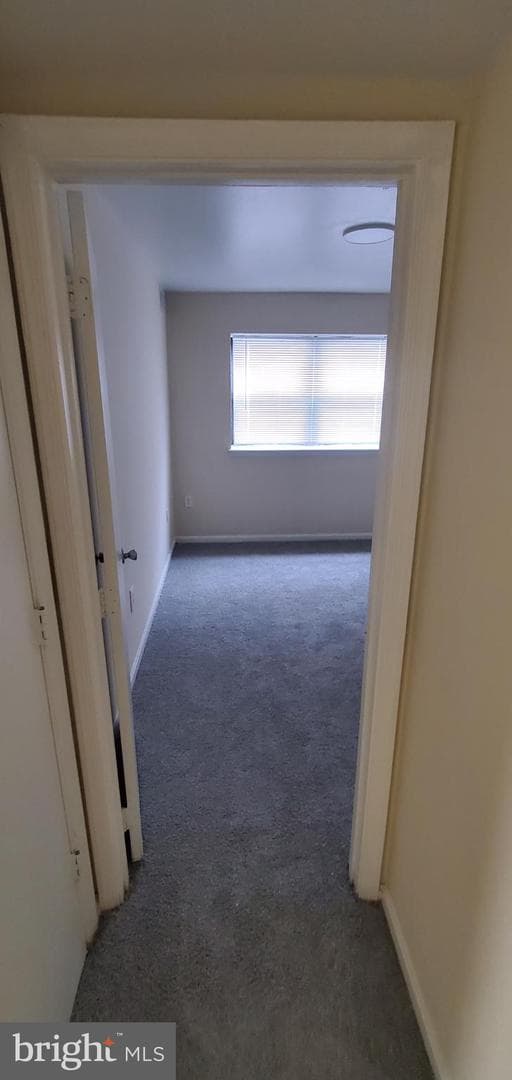 1429 Girard Street NW #205 photo 36