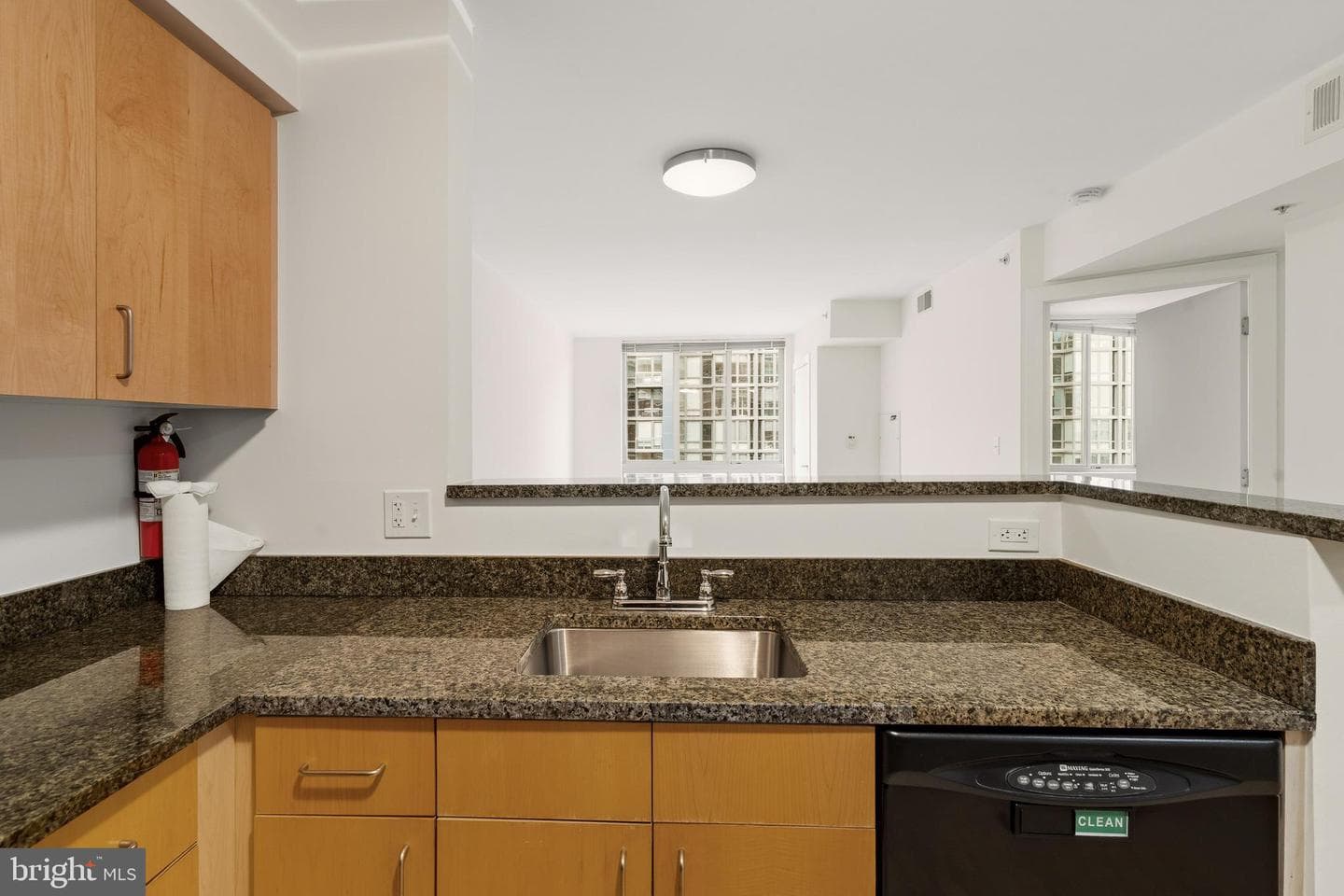 1000 New Jersey Avenue SE #908 photo 11