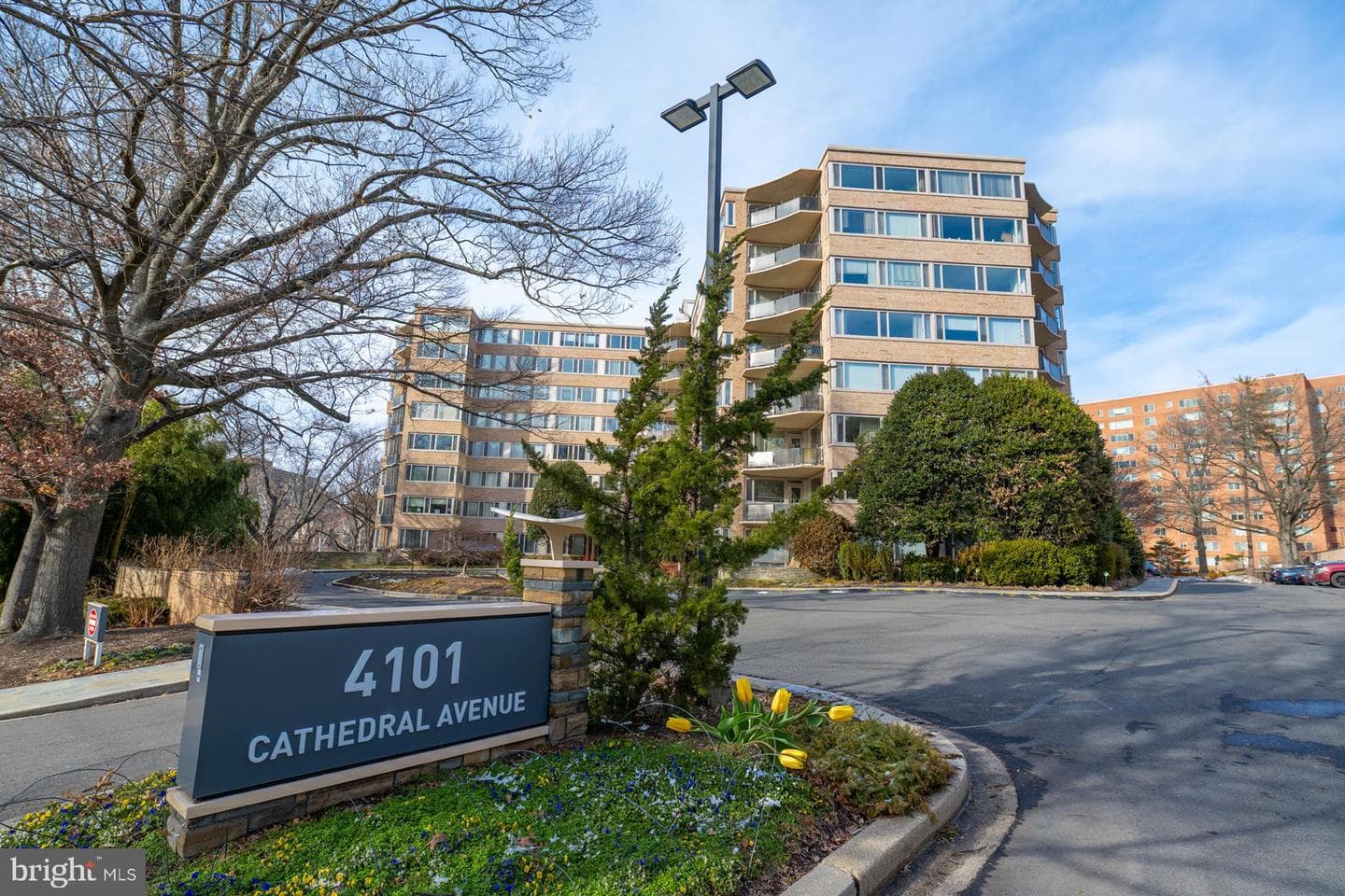 4101 Cathedral Avenue NW #1107 photo 41
