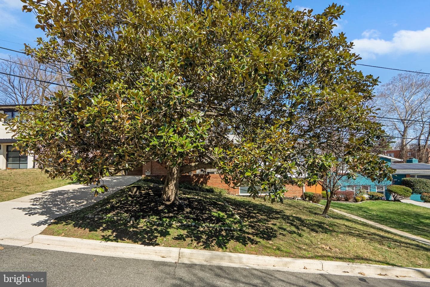 1749 Verbena Street NW photo 40
