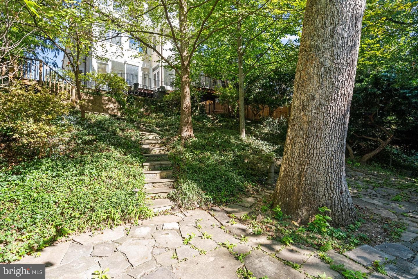 3214 Newark Street NW photo 38