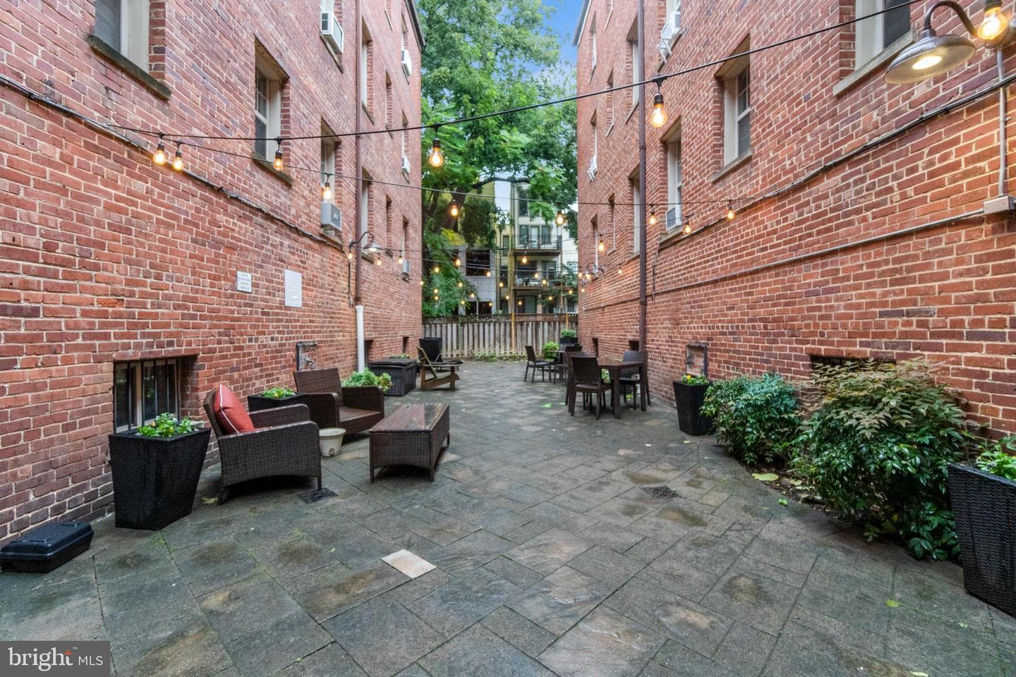 1441 Euclid Street NW #1 photo 14