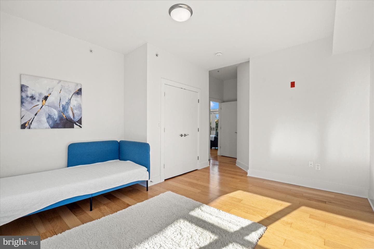 449 R Street NW #301 photo 16