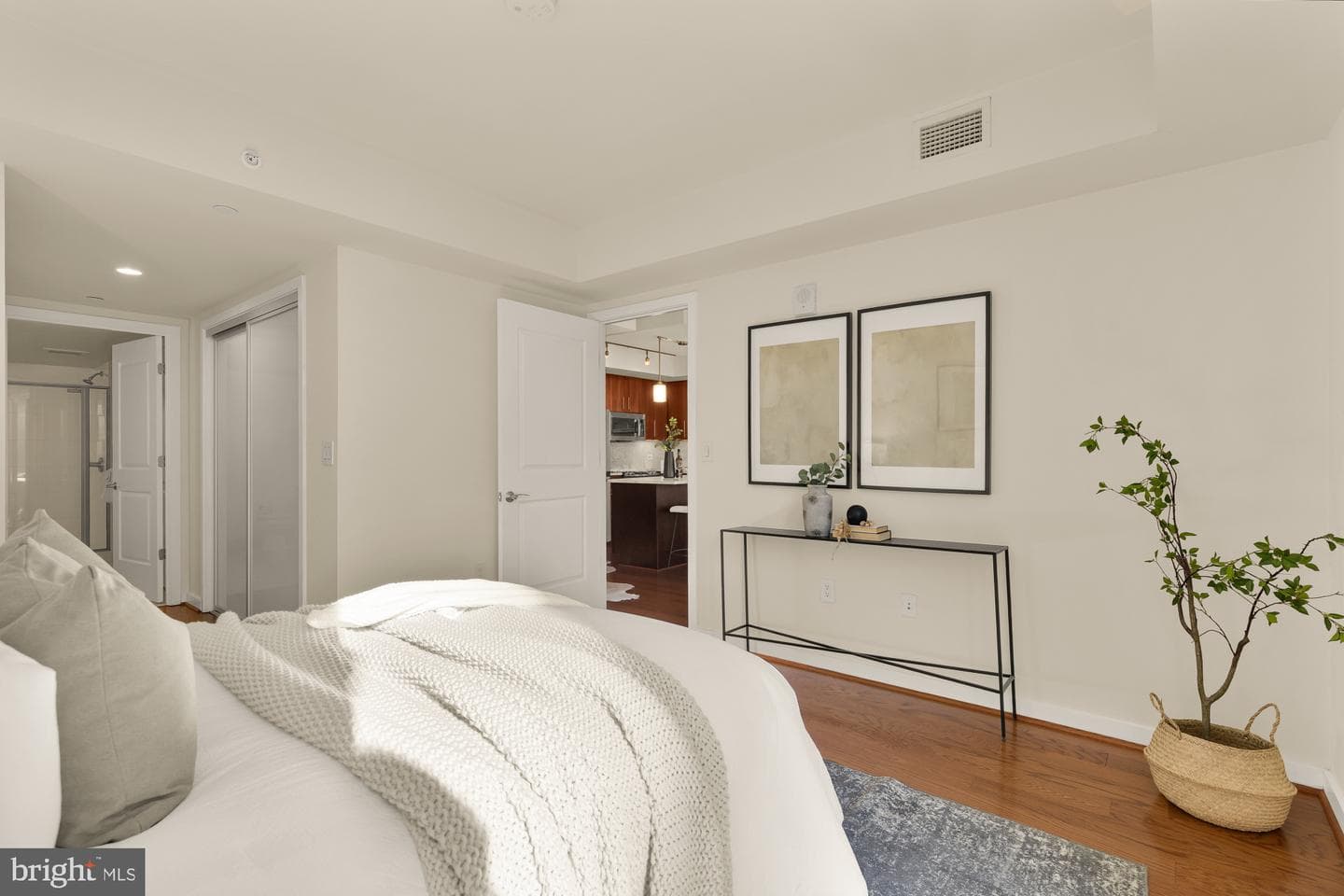 1025 1st Street SE #510 photo 10