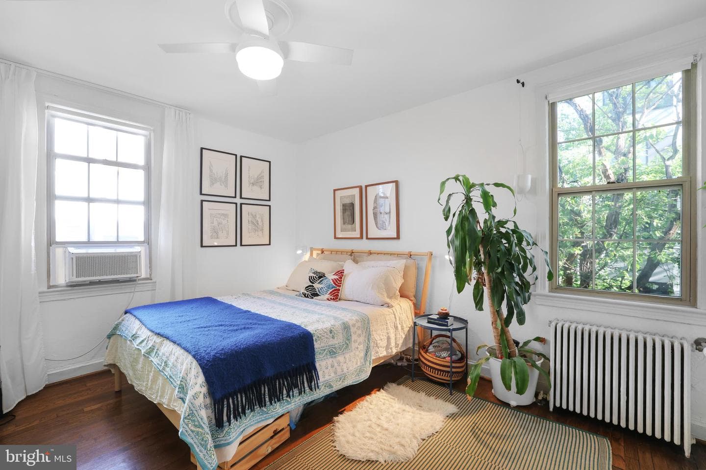 1441 Euclid Street NW #206 photo 12