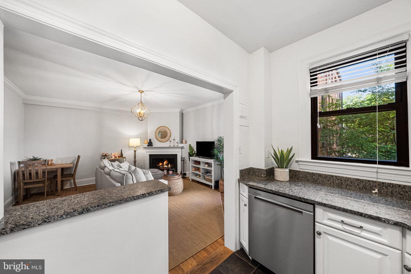 3616 Connecticut Avenue NW #201 photo 13