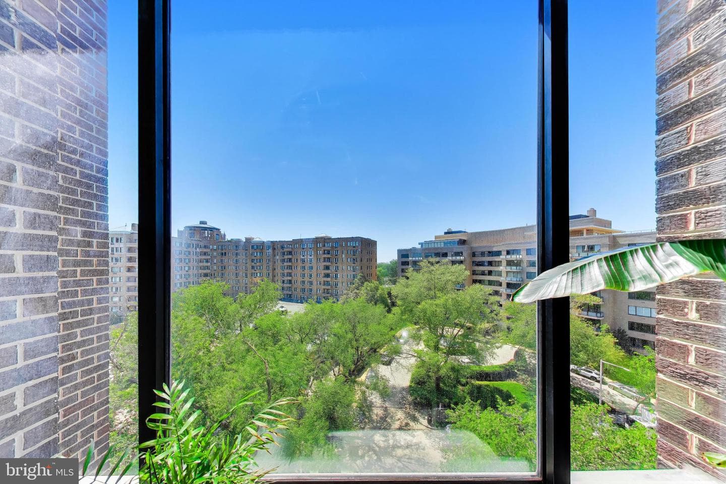 2501 Calvert Street NW #711 photo 4