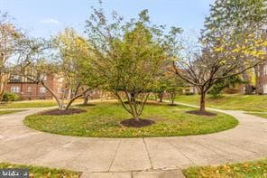 208 Farragut Street NW #207 photo 5