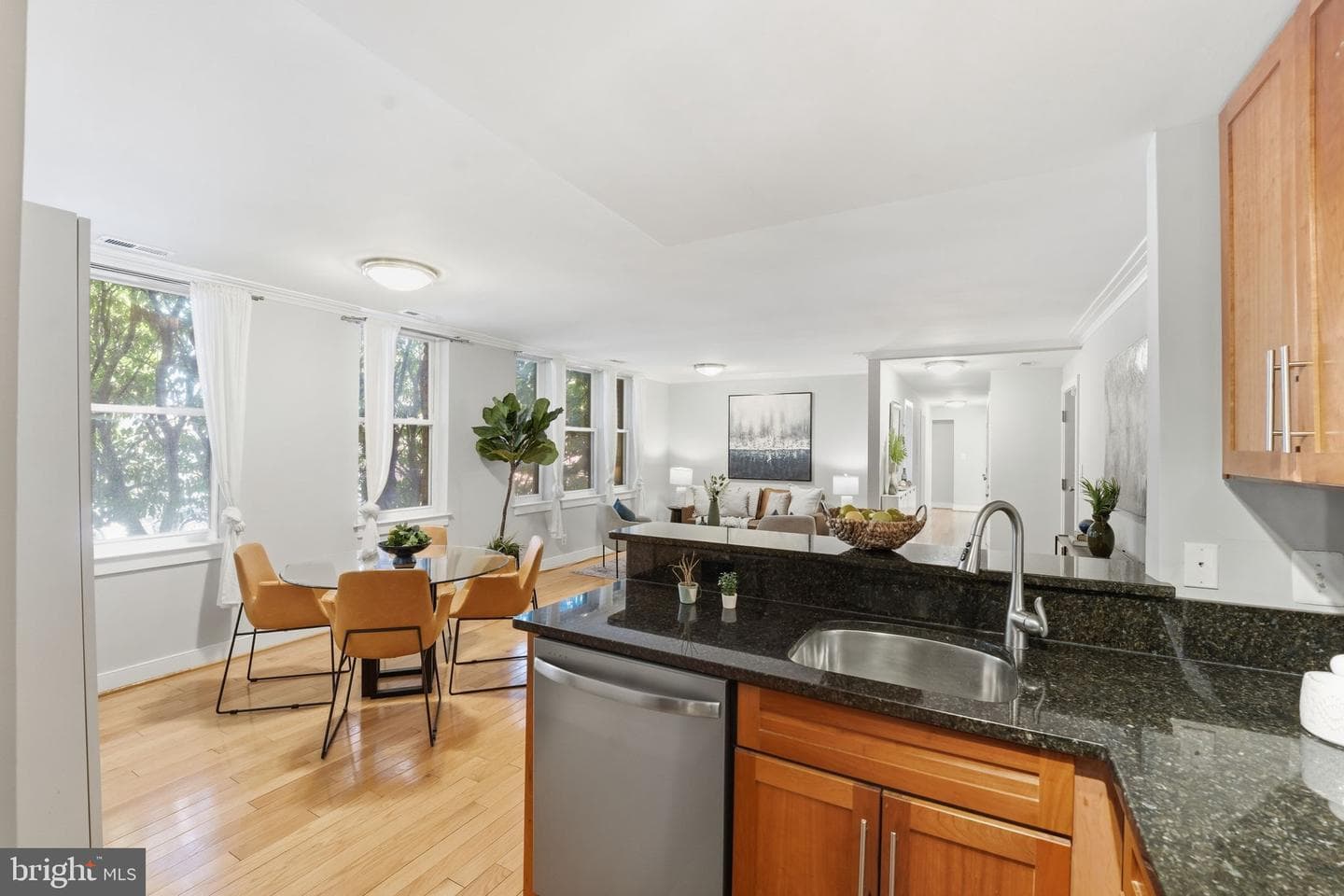 14 S Street NE #201 photo 9