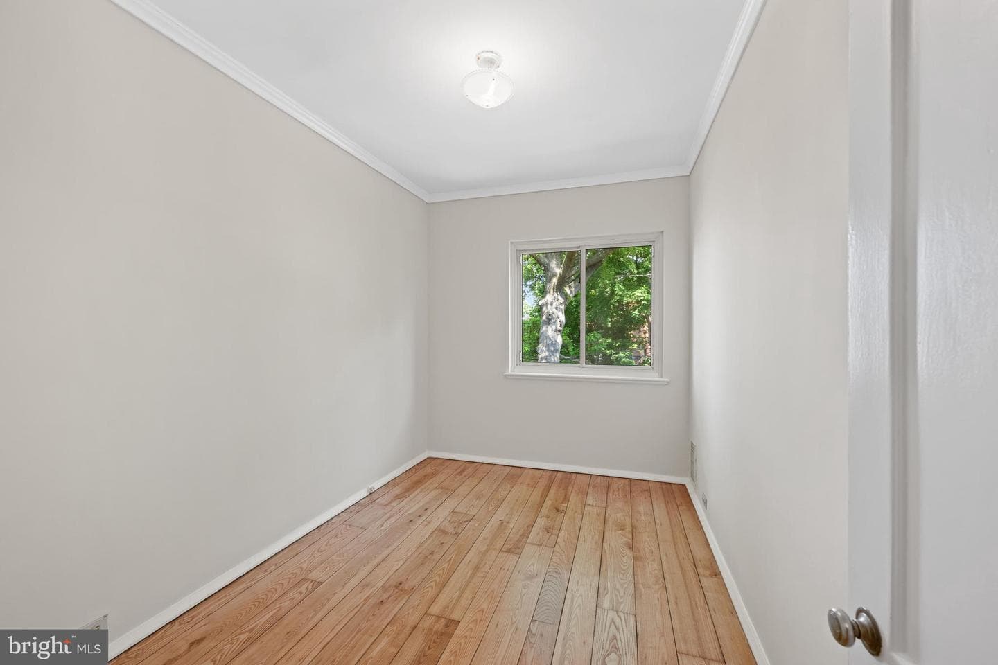 6121 14th Street NW photo 17