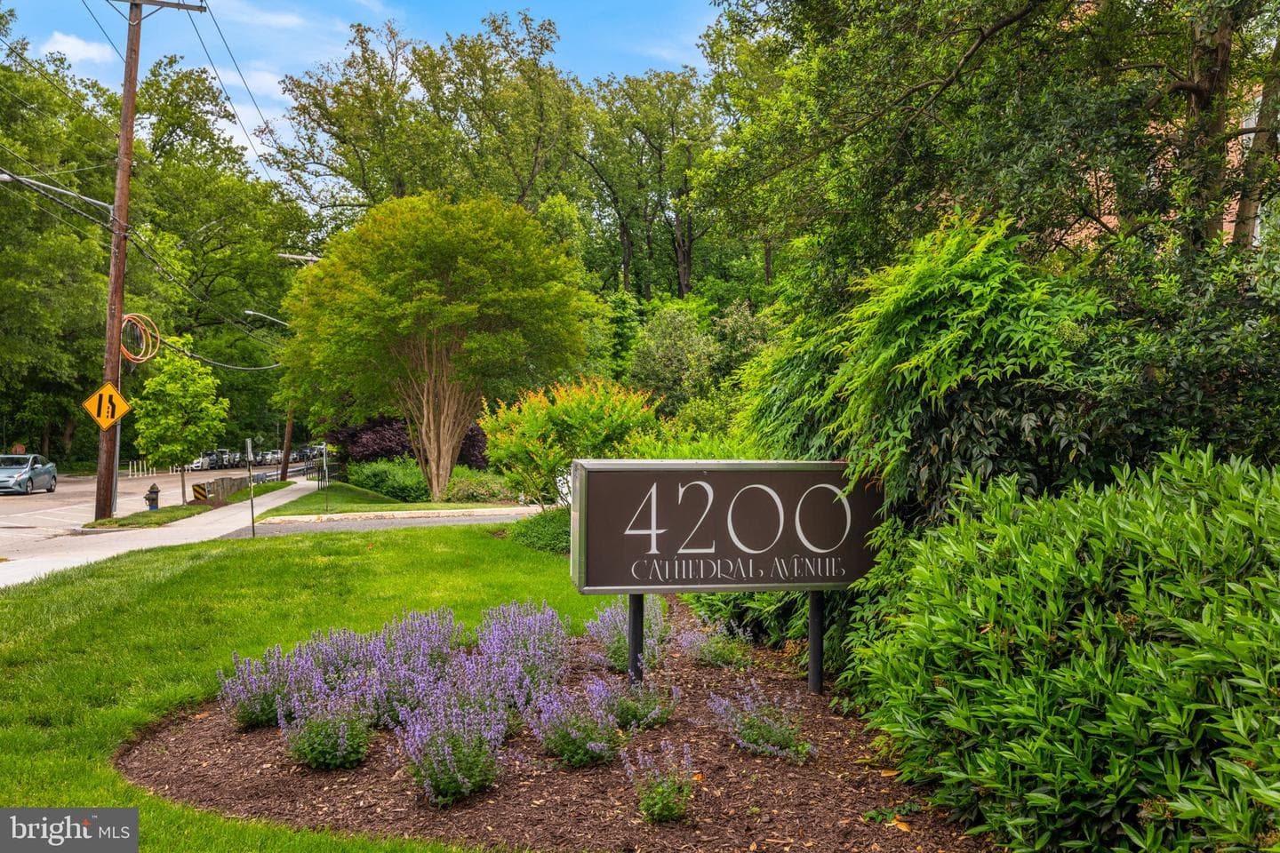 4200 Cathedral Avenue NW #901 photo 1