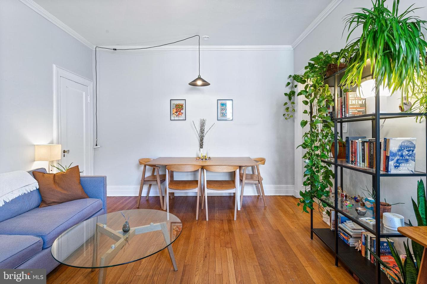 1734 P Street NW #53 photo 8