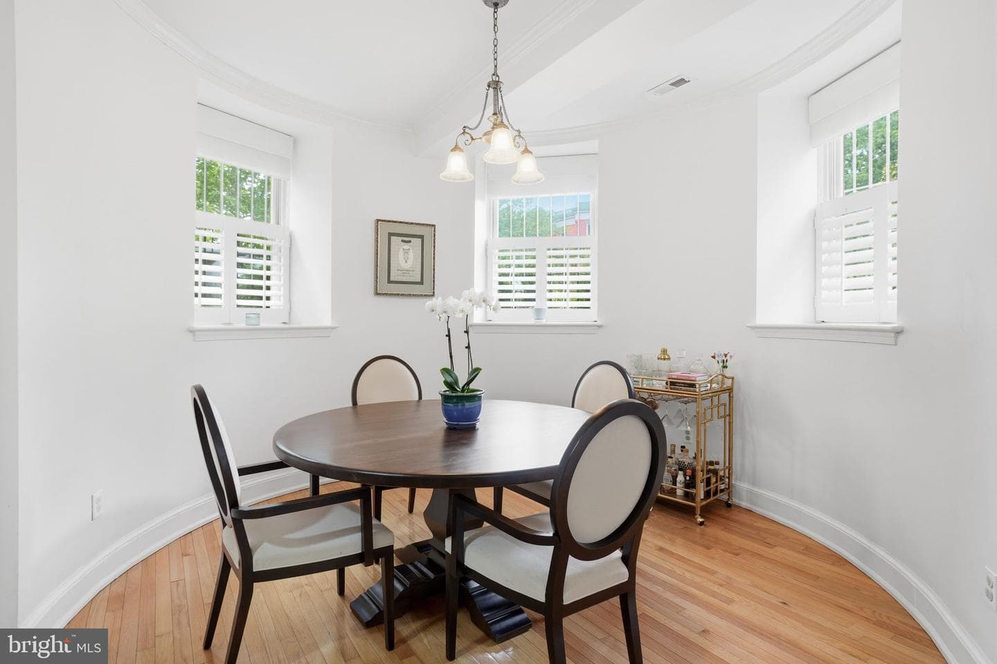 301 G Street NE #3 photo 6
