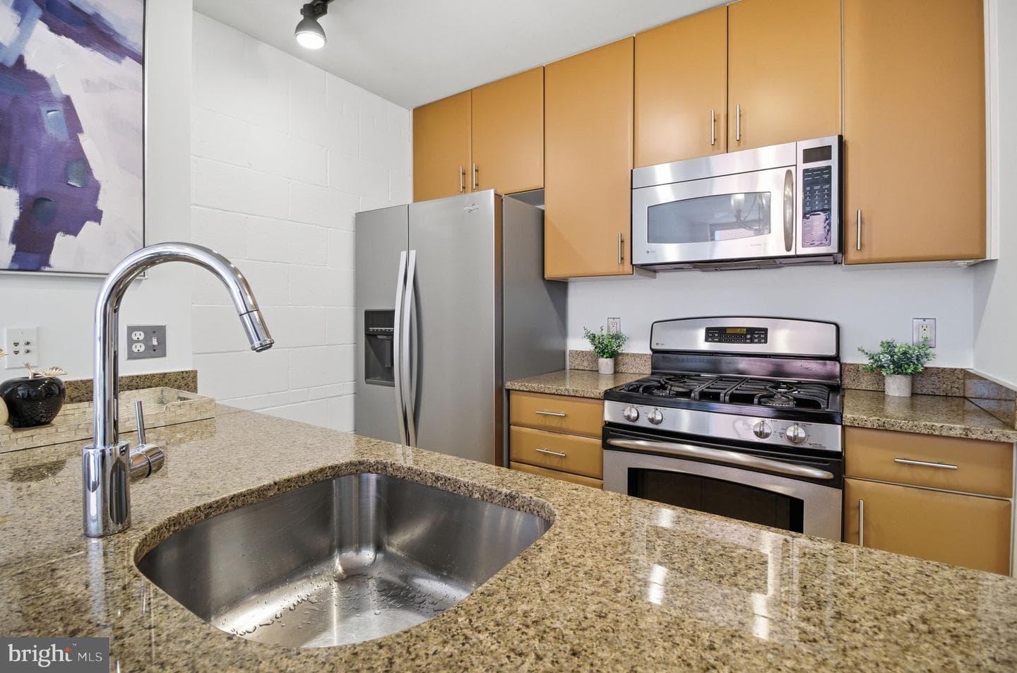 1529 14th Street NW #202 photo 4