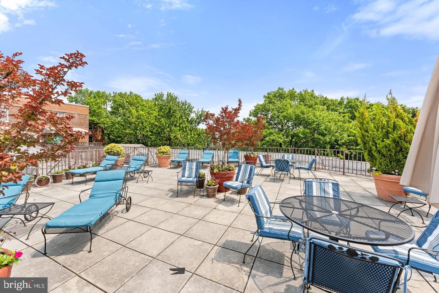 2500 Q Street NW #504 photo 15
