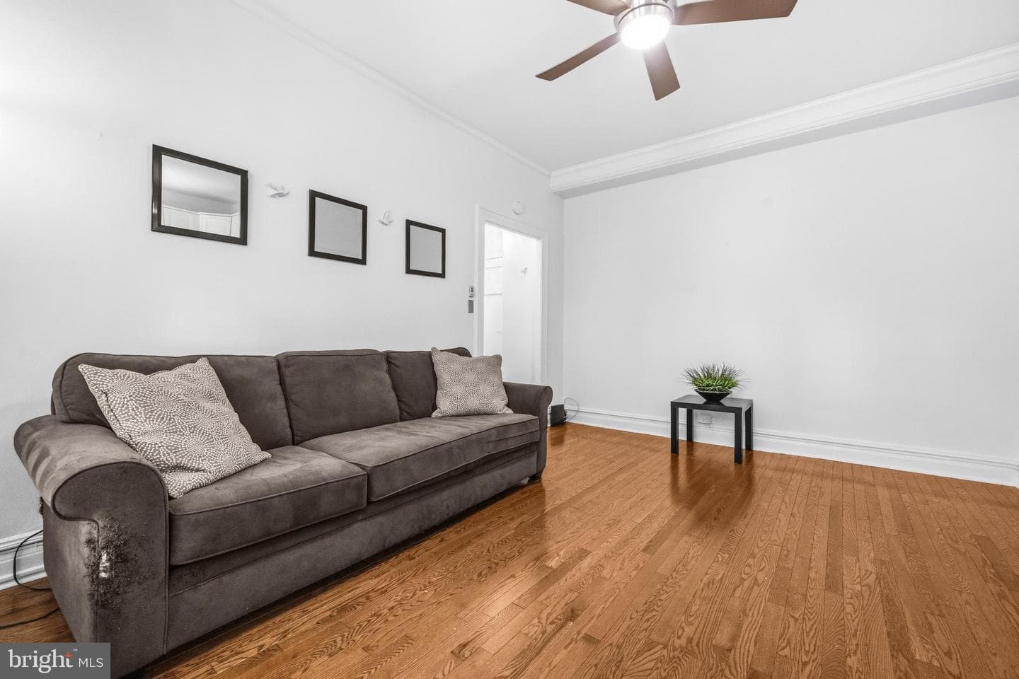 1526 17th Street NW #109 photo 3