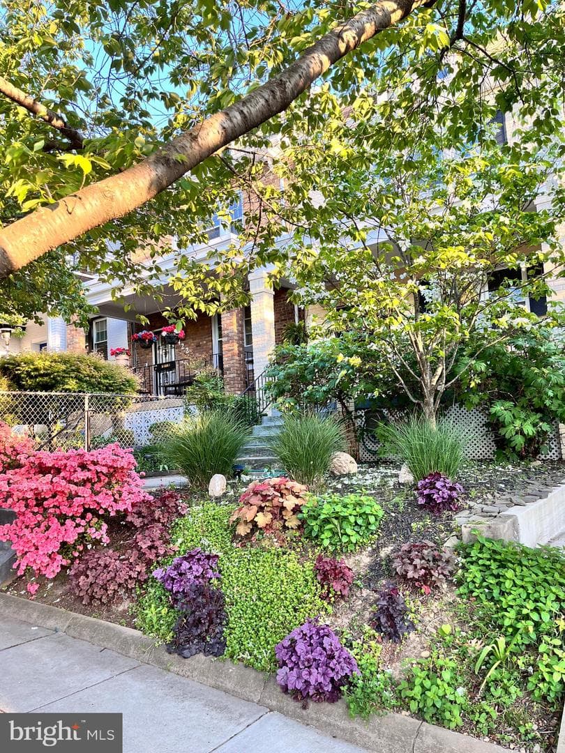 424 Allison Street NW photo 2