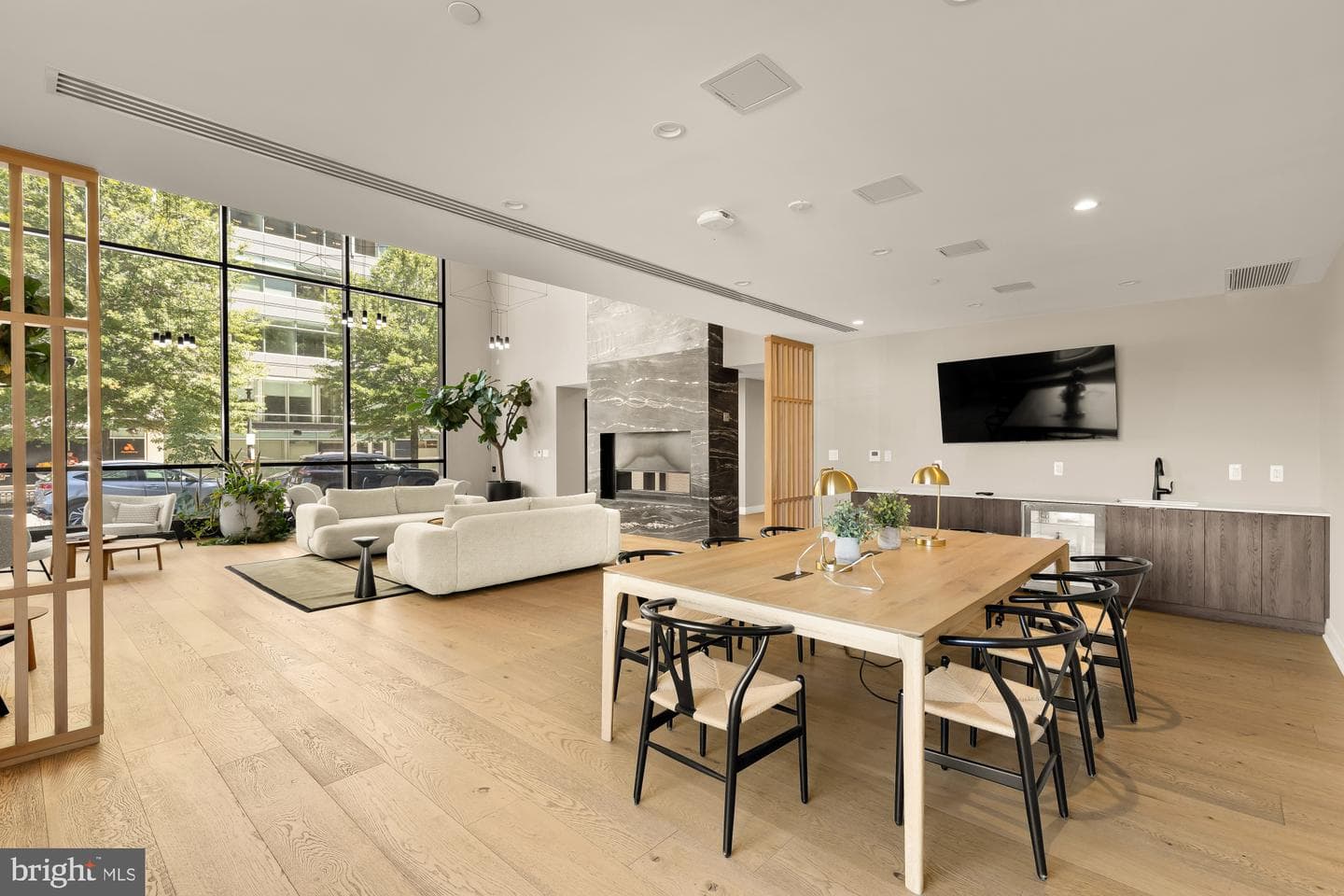 37 L Street SE #301 photo 5