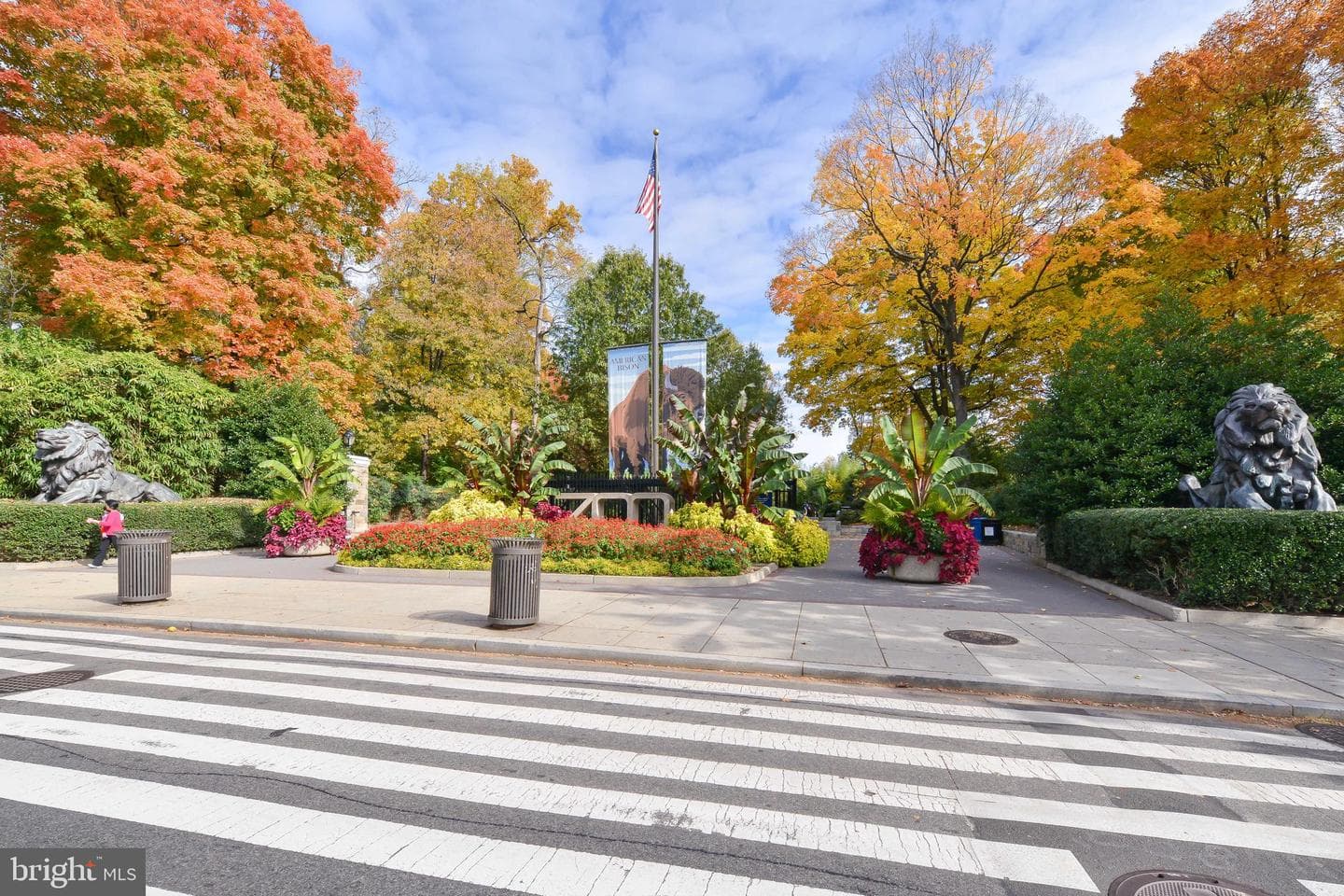 3426 16th Street NW #101 photo 35