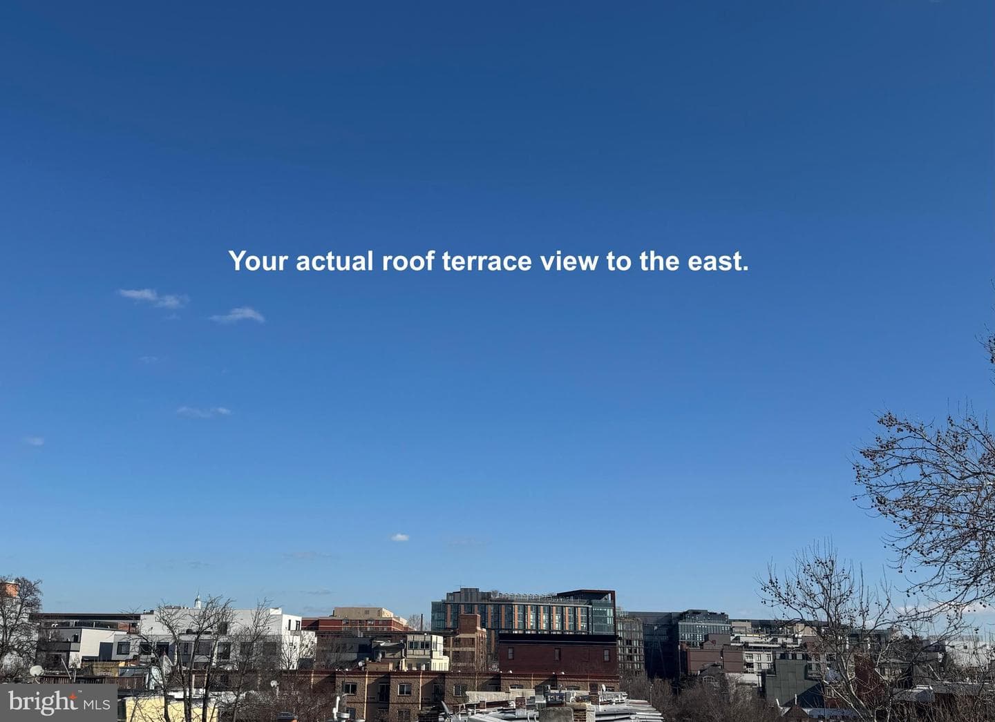 1235 W Street NW #b3 photo 18
