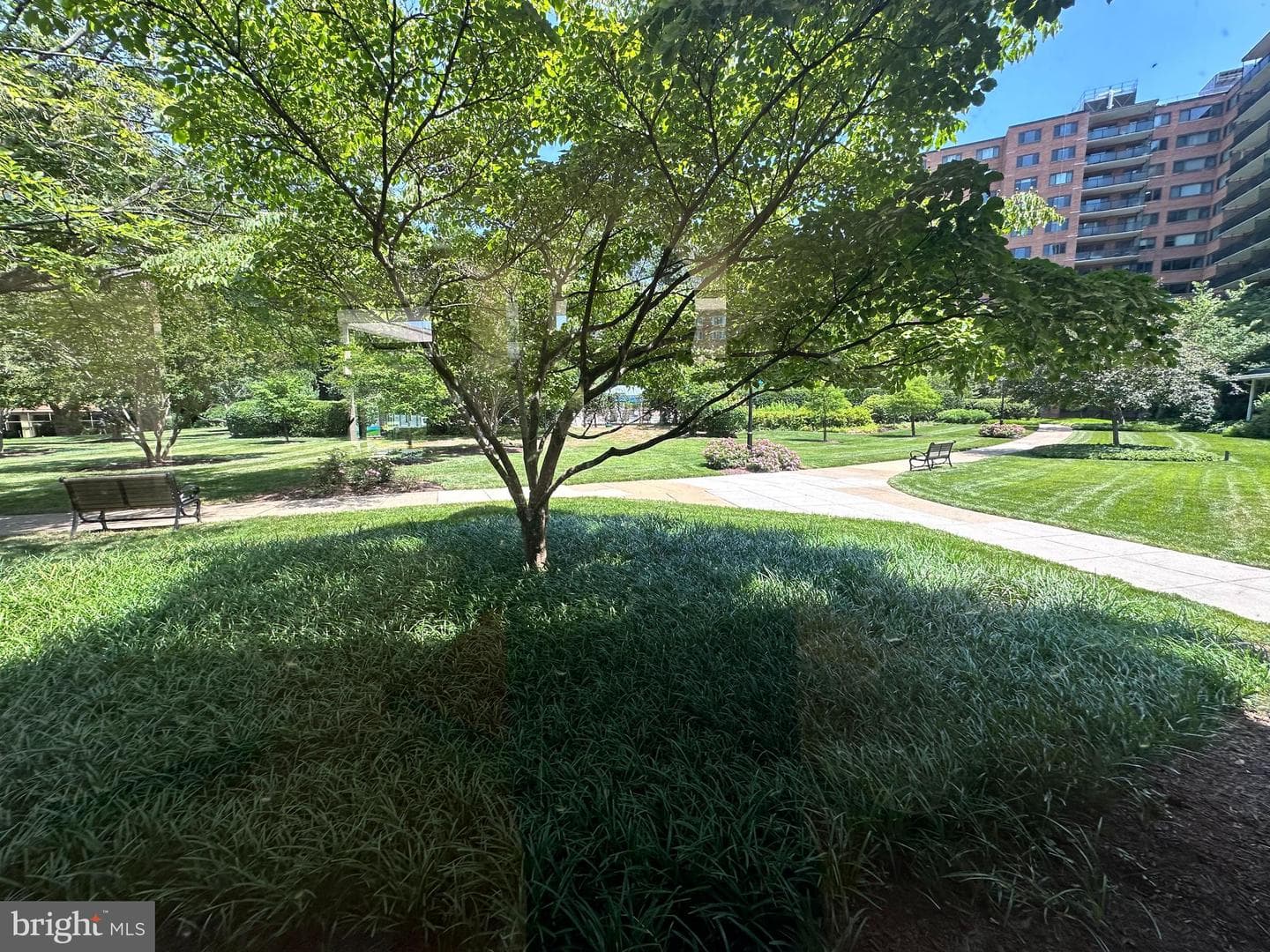 4201 Cathedral Avenue NW #513w photo 17