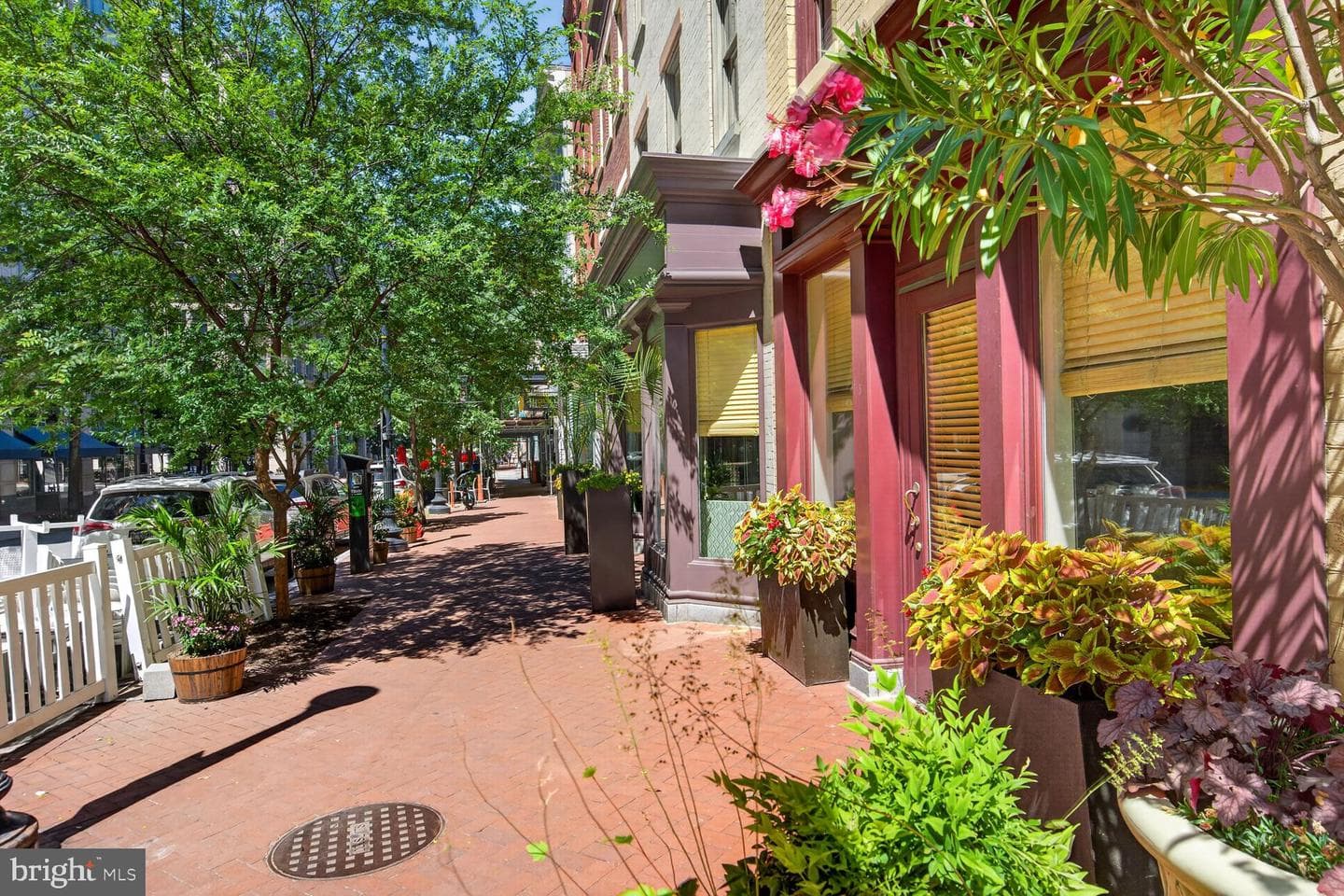 631 D Street NW #231 photo 33