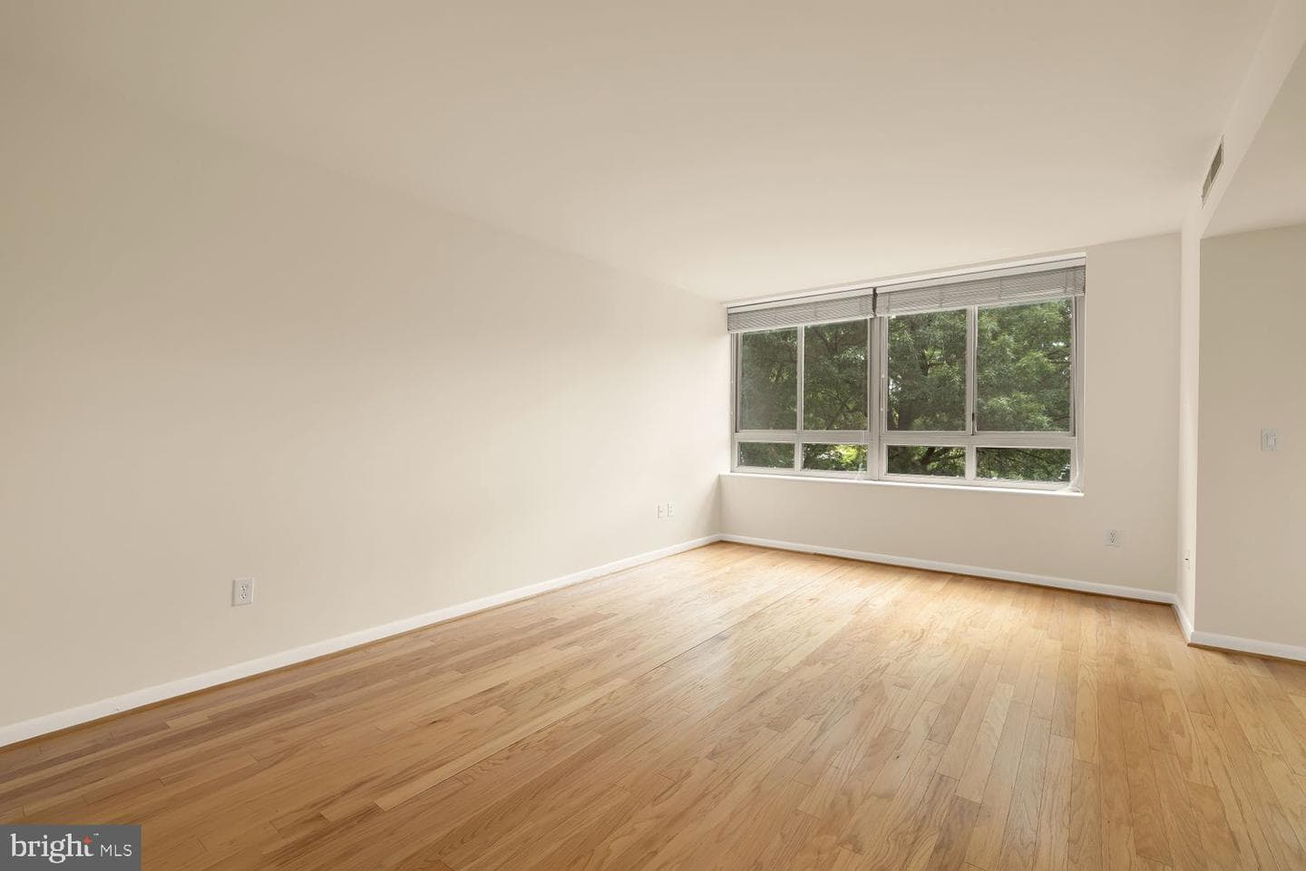 350 G Street SW #n323 photo 5