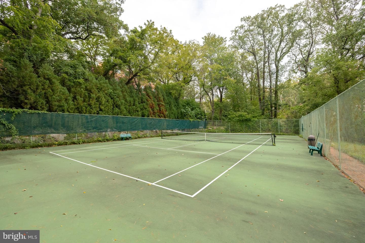 4201 Cathedral Avenue NW #1405w photo 19