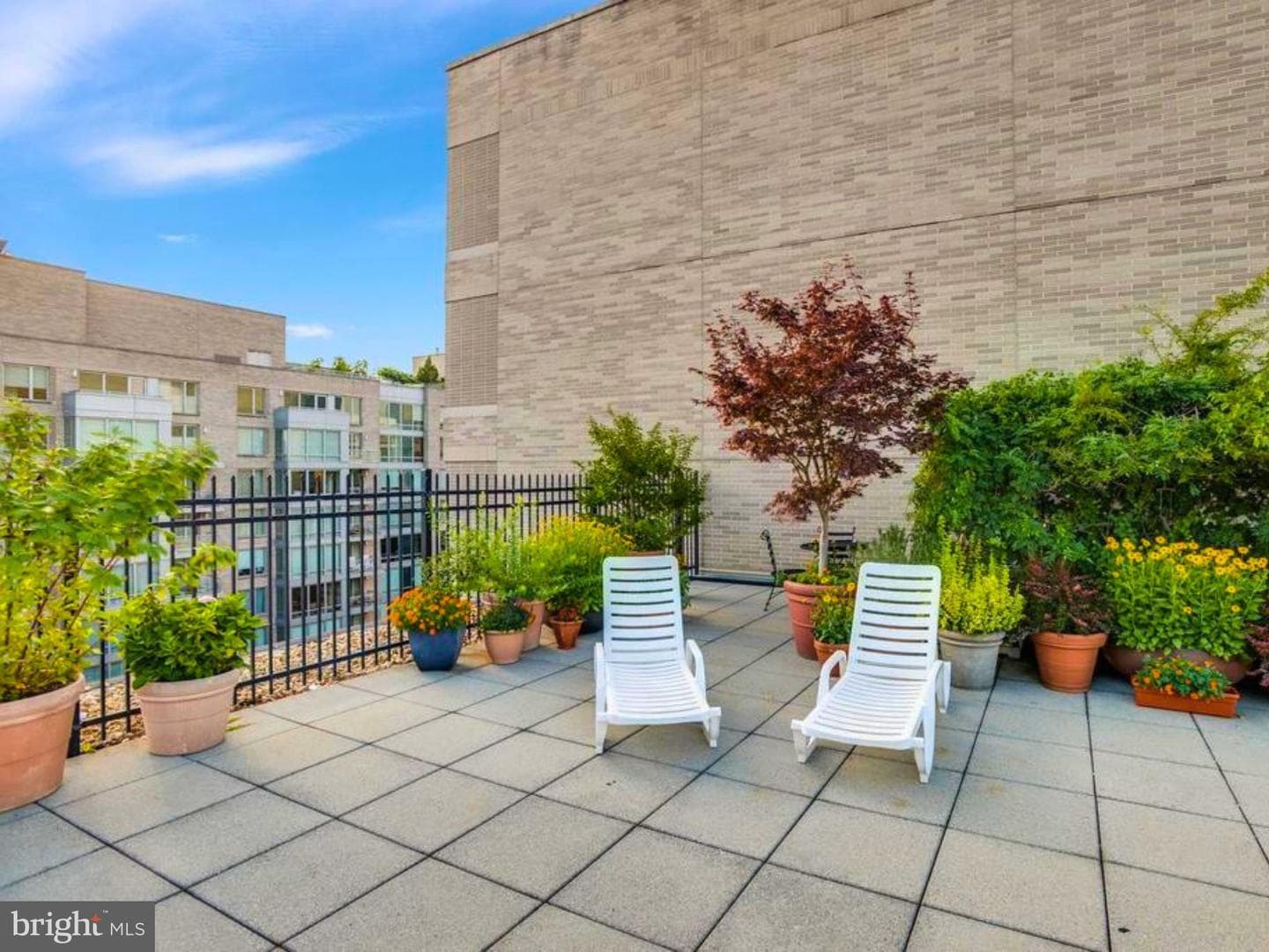 2201 L Street NW #501 photo 23