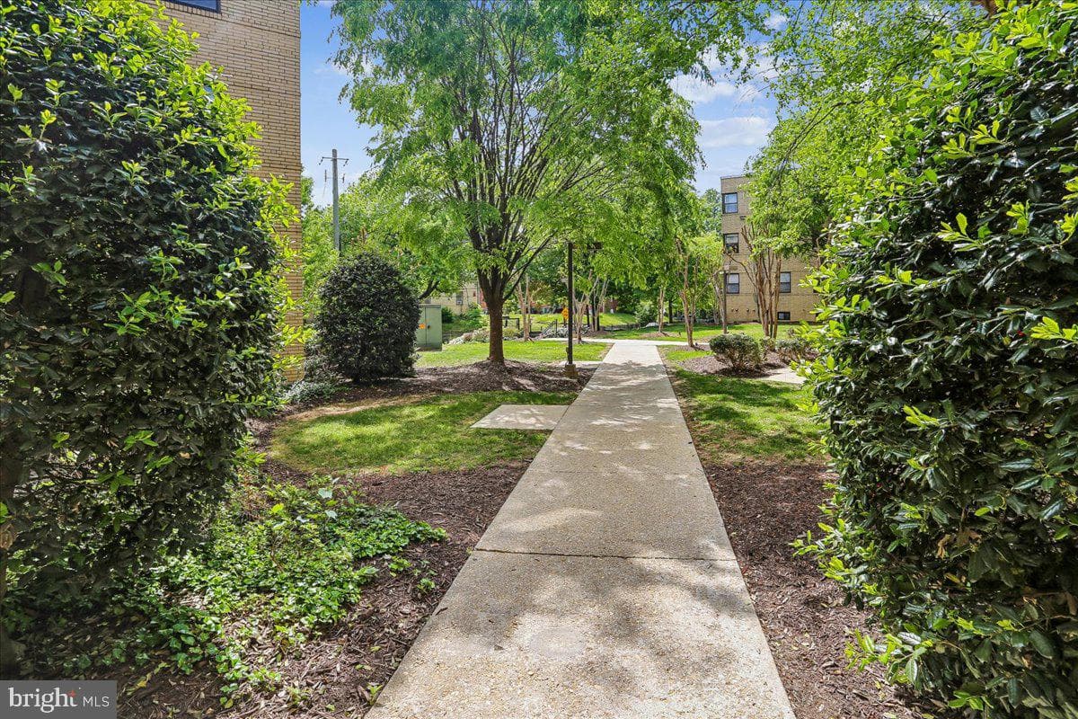 212 Oakwood Street SE #113 photo 3