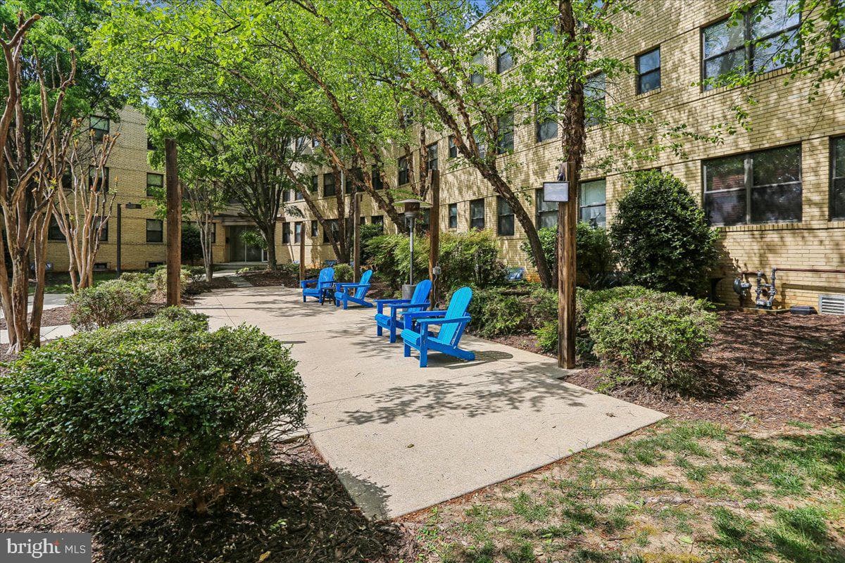 212 Oakwood Street SE #113 photo 37
