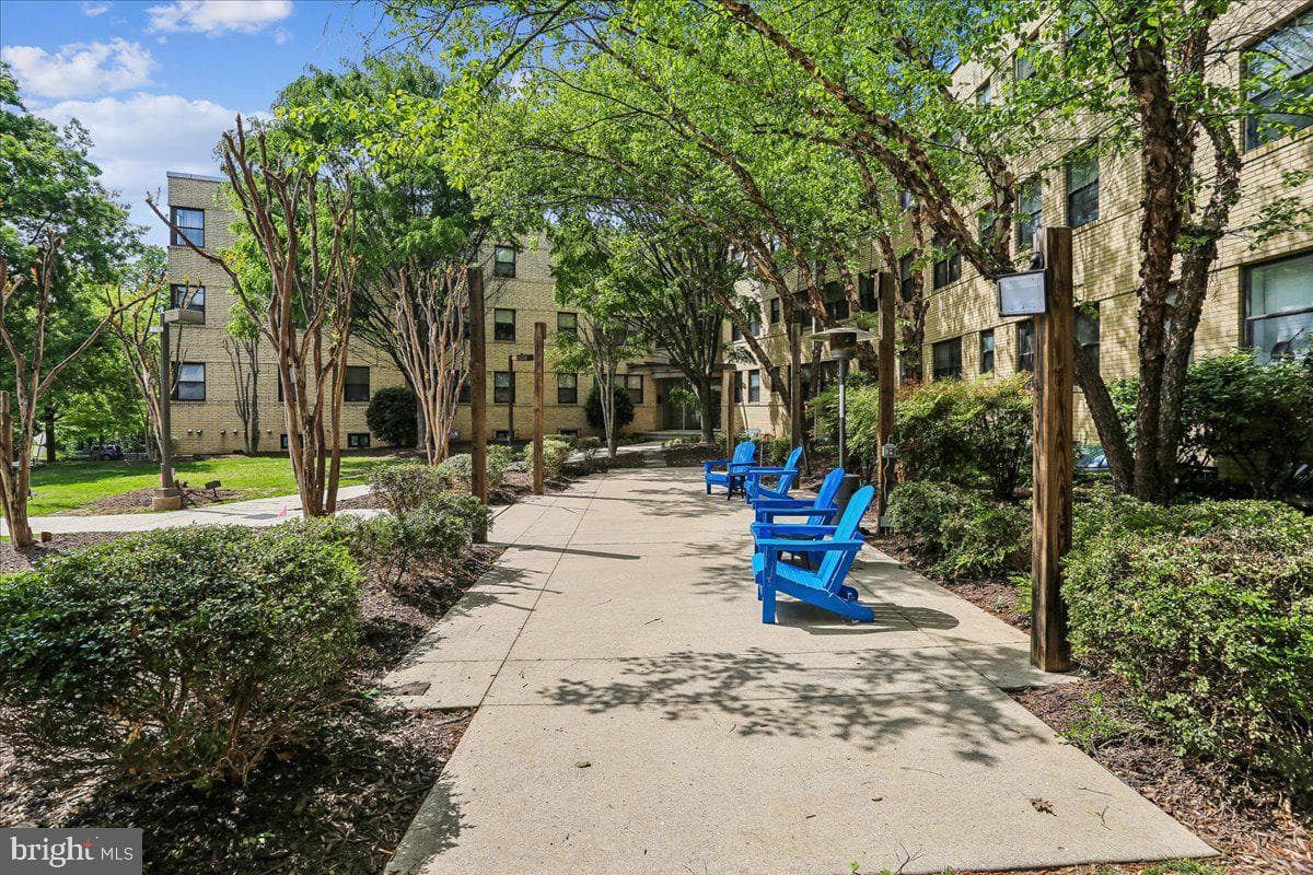 212 Oakwood Street SE #113 photo 4