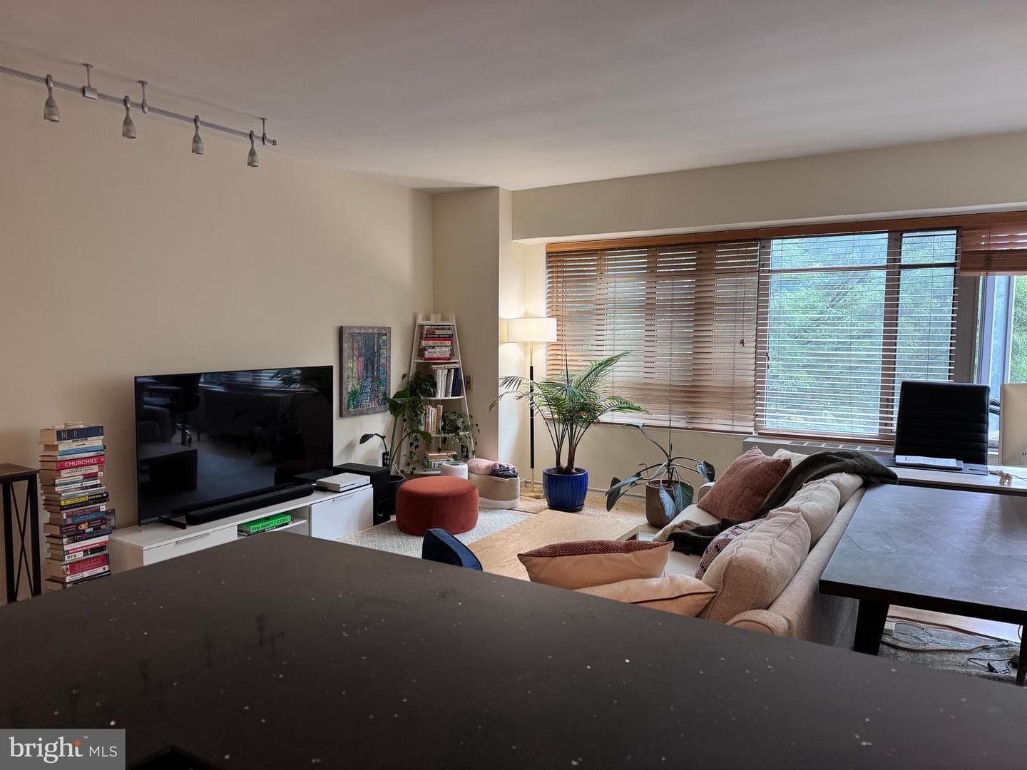 1711 Massachusetts Avenue NW #228 photo 5