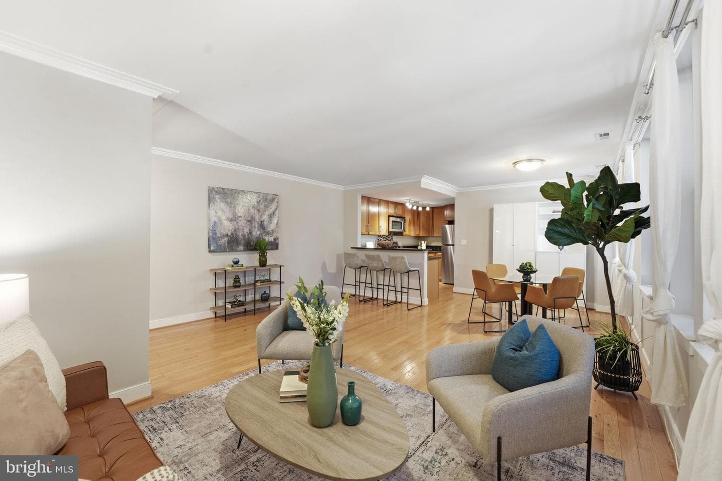 14 S Street NE #201 photo 3