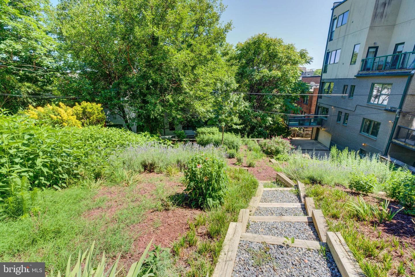 1468 Belmont Street NW #3e photo 44