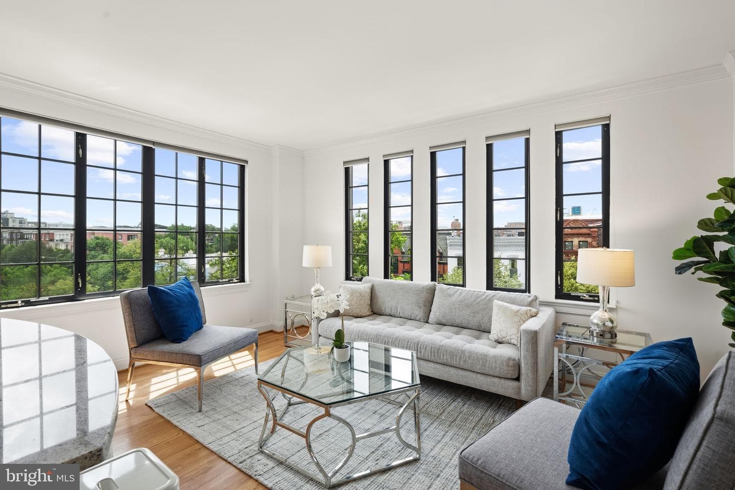 1701 16th Street NW #544