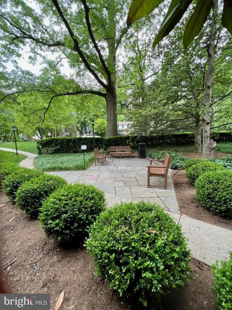 4200 Cathedral Avenue NW #912a photo 19