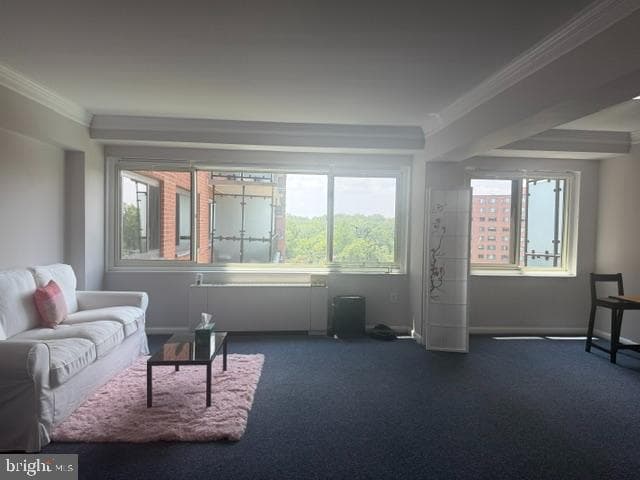 4201 Cathedral Avenue NW #1022e photo 3