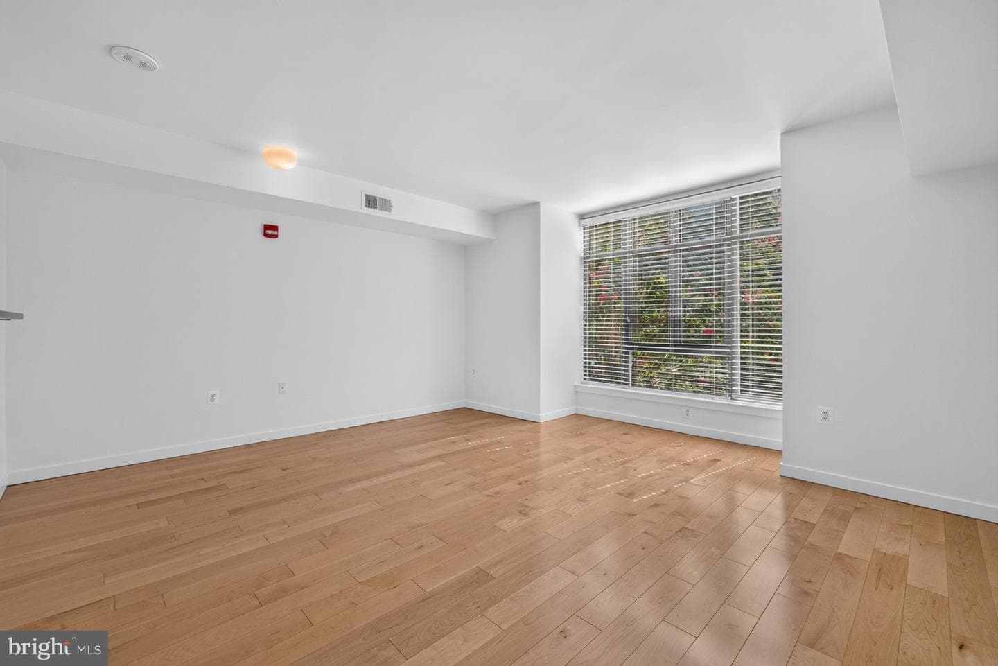 3883 Connecticut Avenue NW #206 photo 21