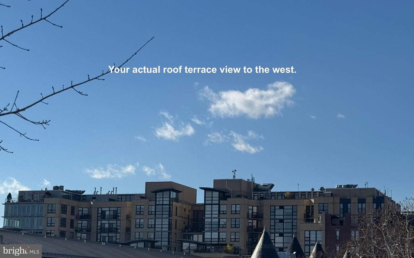 1235 W Street NW #3b photo 17