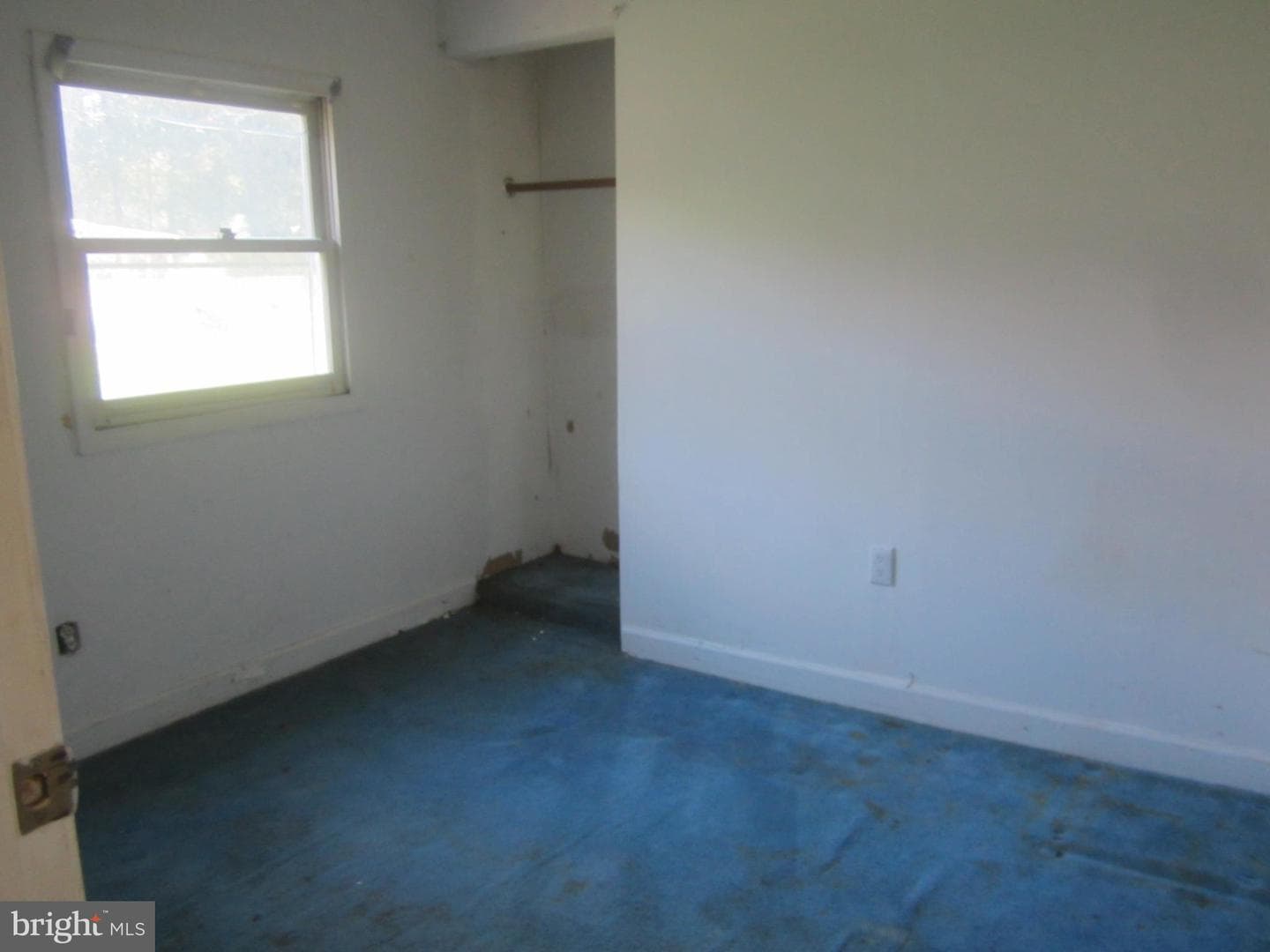807 Cedar Avenue photo 4